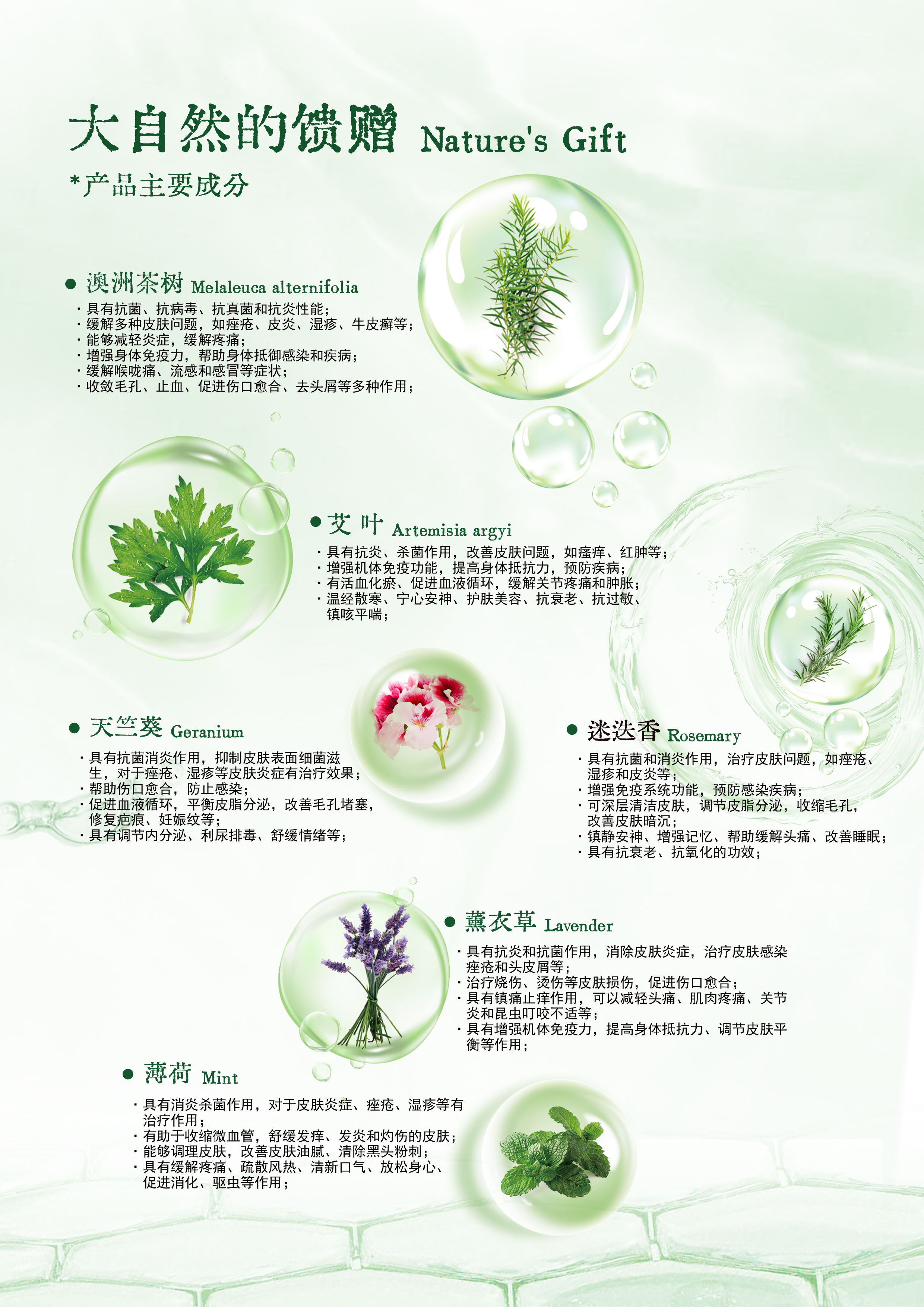 6品牌手冊(cè)-成分1